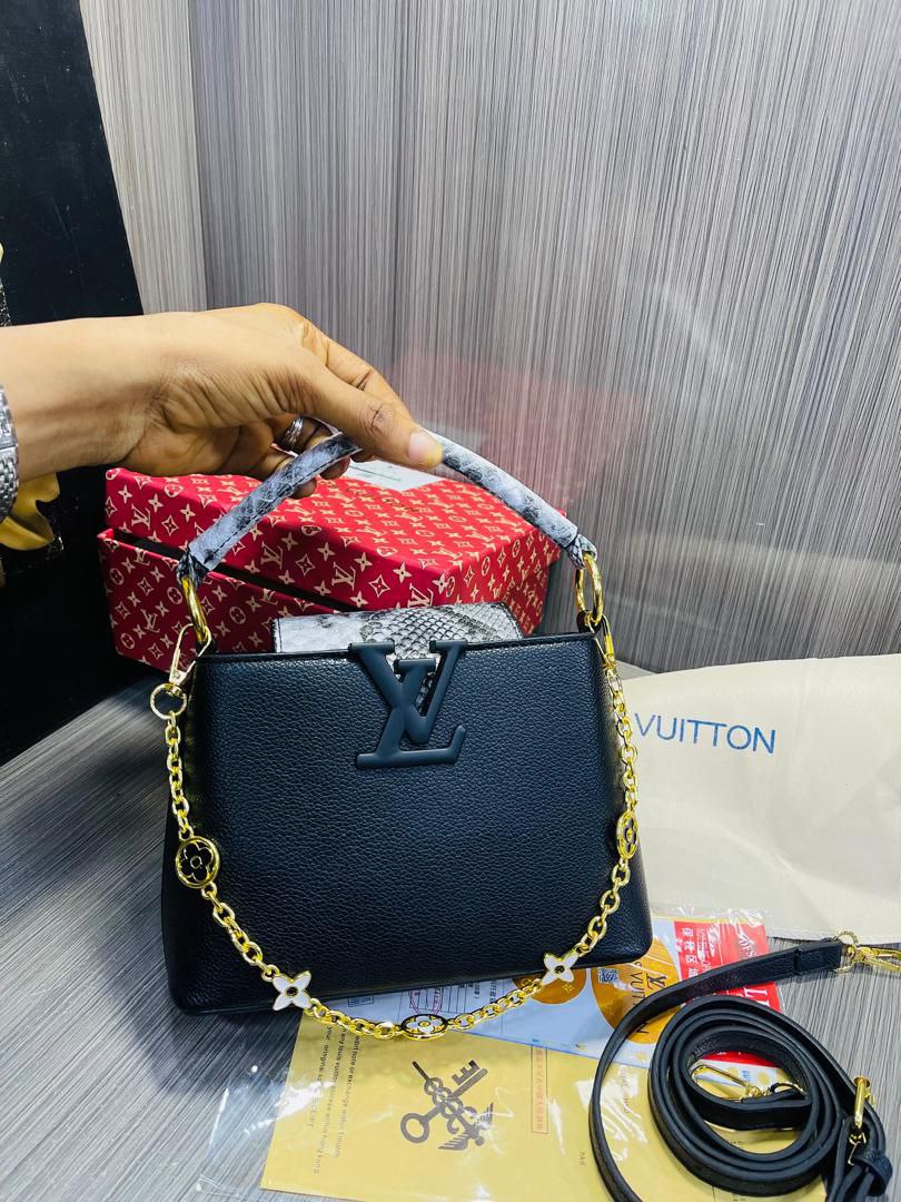 Louis Vuitton Signature Handbag