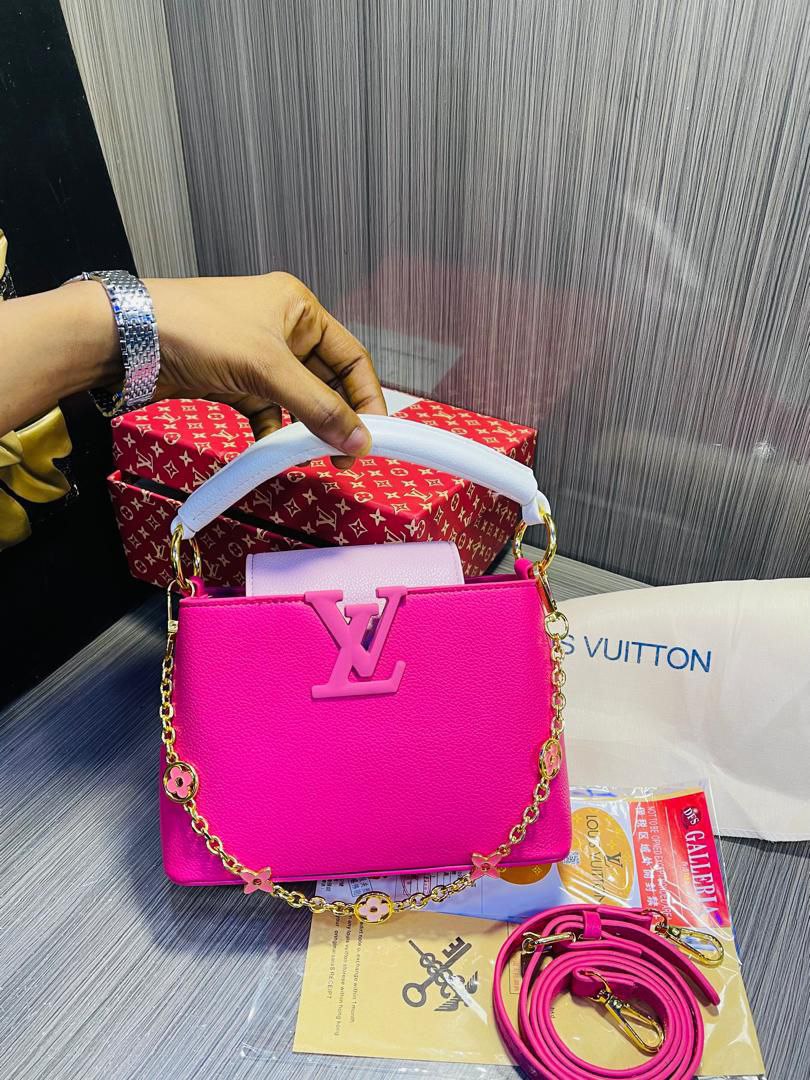 Louis Vuitton Signature Handbag