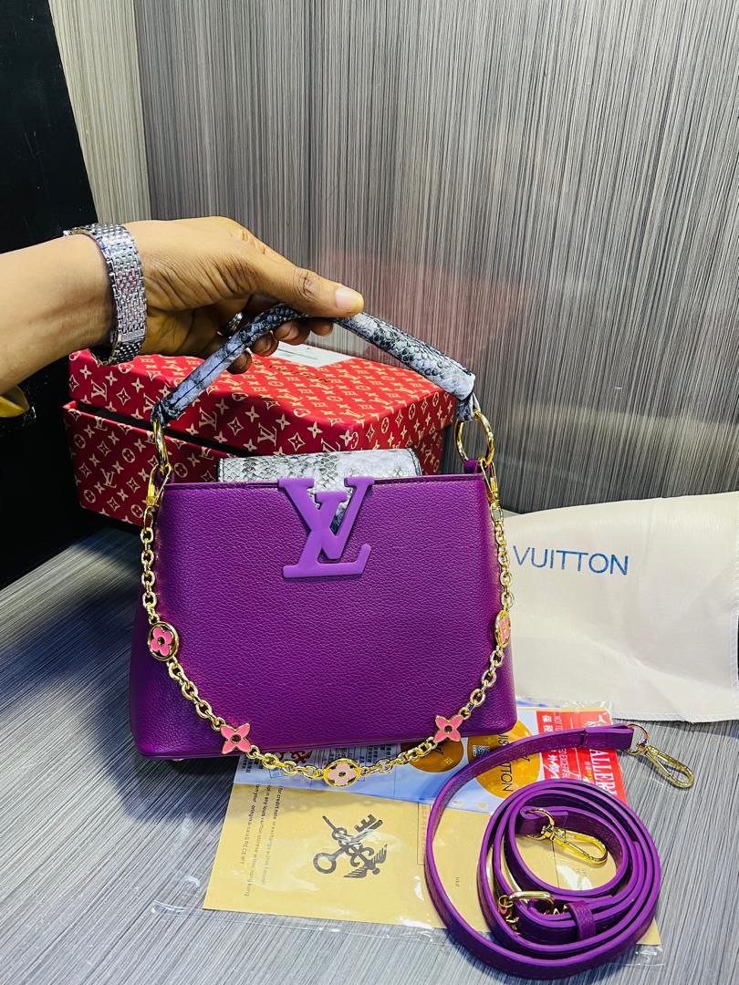 Louis Vuitton Signature Handbag